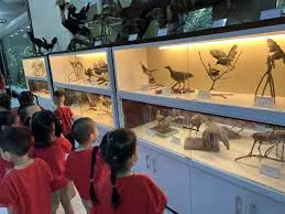 Khám phá điều mới mẻ