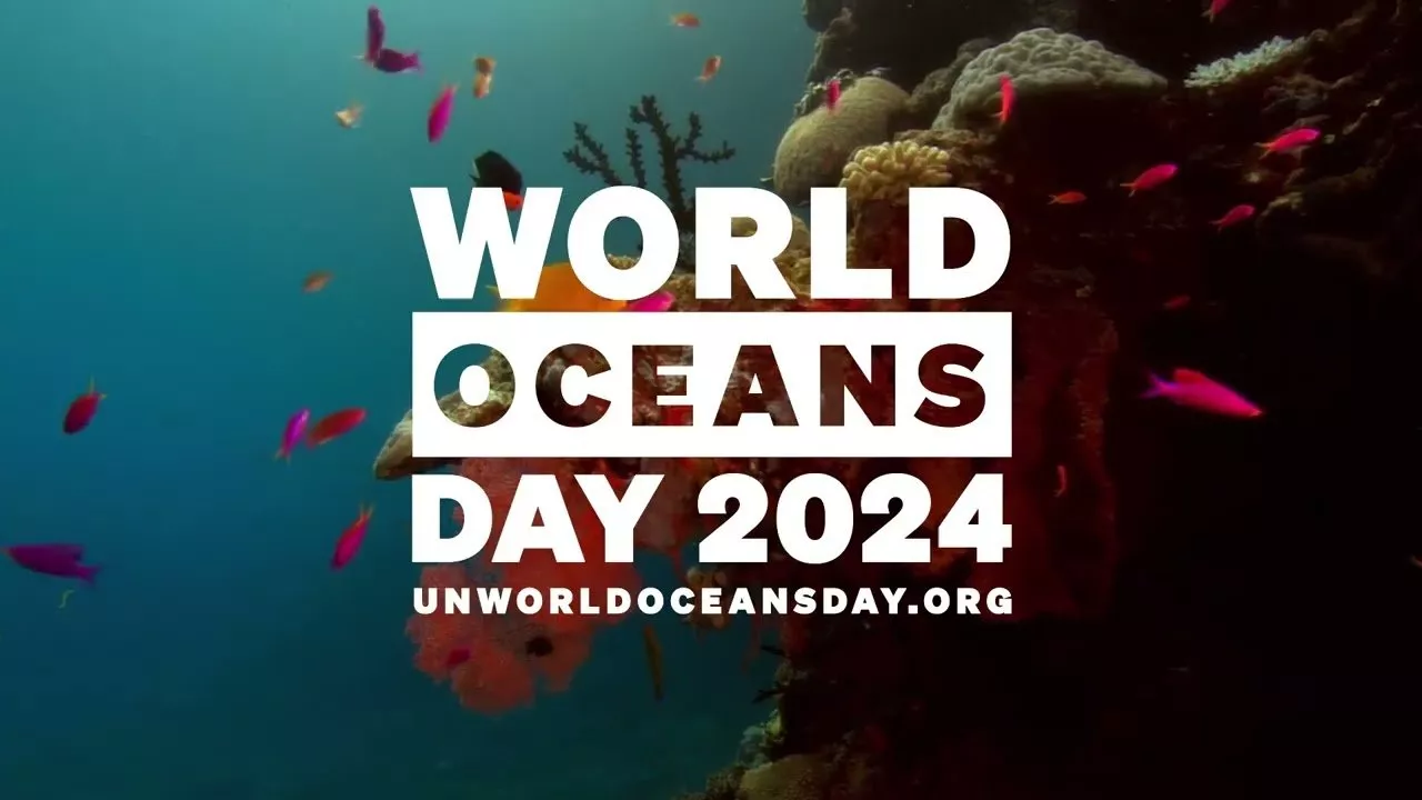 TUẦN LỄ BẢO TÀNG 2024 - Chủ đề 6: Nước